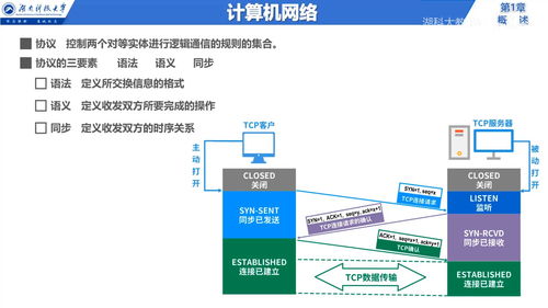 計算機信息網絡的設計 從概述到體系結構解析